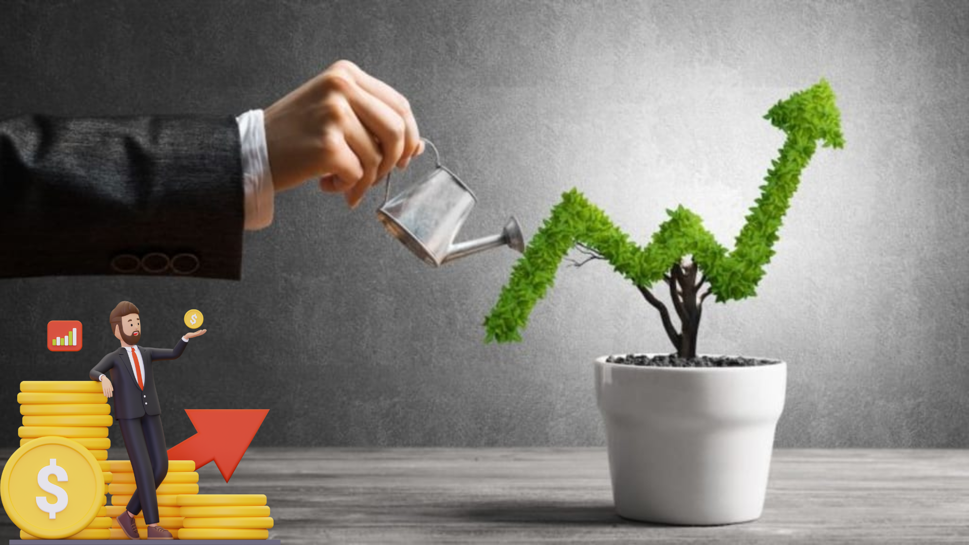 Investment Options